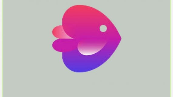 inVideo Subscription