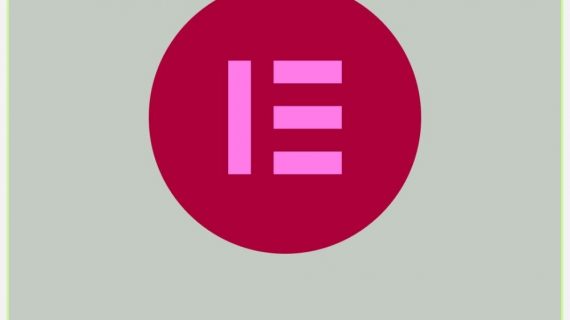 Elementor Pro (1 Year) Subscription